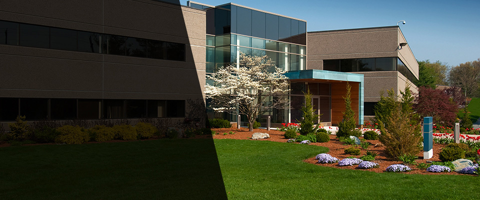 California Landscapers